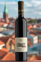 J.Stávek - Lokus 2018